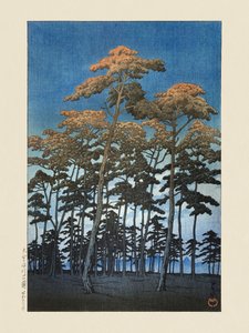 Hikawa Park in Omiya (1930)