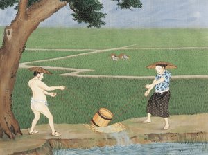 Work in Rice-Fields
