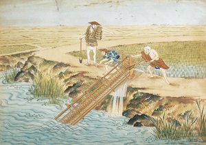 Work in Rice-Fields