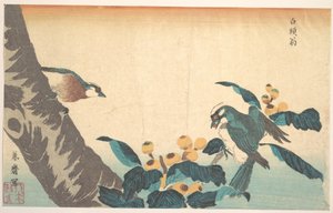 Birds and Flowers by Keisai Eisen