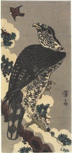 Eagle and Sparrow