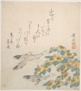 Fishes Swimming with Yellow Flowers by Keisai Eisen