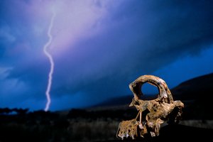 The First Steps, Broken Skull, STW 847, Lightning, High veld, Swartkrans, South Africa by Kenneth Garrett