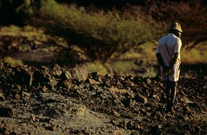 Fossil hunter, Kamoya Kimeu, leader of the Hominid Gang, 2008 (photo) by Kenneth Garrett