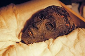 Mummy Head and Face of King Tutankhamun, 2005