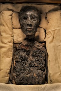 Mummy of King Tut, 18th Dynasty; New Kingdom; the Egyptian Museum; Cairo, 2005