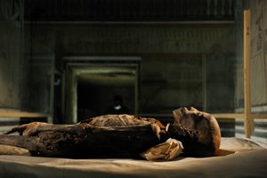18th Dynasty; New Kingdom; Egypt; DNA; Sample; Mummy, unknown mummy, 2005