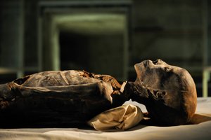 18th Dynasty, New Kingdom, Egypt, DNA Sample, Mummy, Unknown Mummy, 2005
