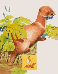 The Saro