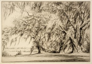 Oaks and Moss by Kerr Eby