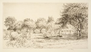 The Orchard