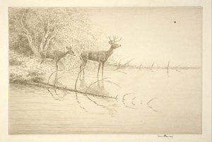 White Tails in the Morning by Kerr Eby