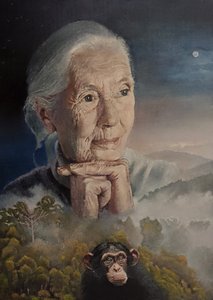 We’re All Connected (The Wisdom Of Jane Goodall)
