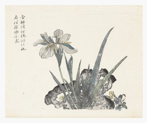 Mustard Seed Garden by Ki Chang