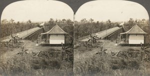 Group of 14 stereographs of Africa and Actors