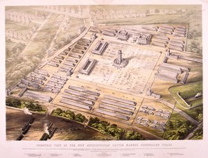 Metropolitan Cattle Market, London