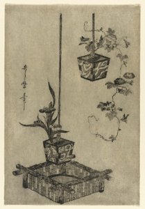 Arrangements of Irises and Morning Glories