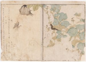 Caterpillar and Bees by Kitagawa Utamaro