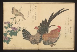Cock and Bunting by Kitagawa Utamaro