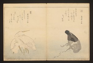 Cormorant and Heron by Kitagawa Utamaro