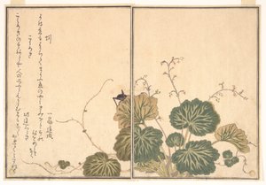 Earthworm; Cricket, from the Picture Book of Crawling Creatures by Kitagawa Utamaro