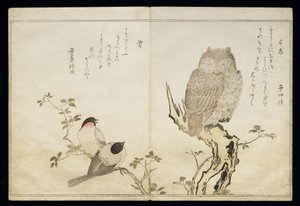 An Owl and Two Eastern Bullfinches, from an album 