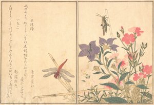 Red Dragonfly Akatonbo, Locust Inago..., 1788 by Kitagawa Utamaro