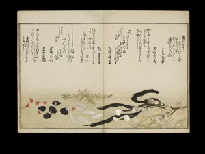 Shiohi no tsuto (Gifts from the Ebb Tide), known as the Shell Book, 1789