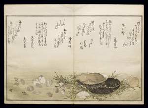 Shiohi no tsuto (Gifts from the Ebb Tide), known as the Shell Book, 1789 by Kitagawa Utamaro