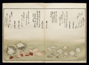 Shiohi no tsuto (Gifts from the Ebb Tide), known as the Shell Book, 1789 by Kitagawa Utamaro
