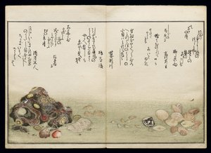Shiohi no tsuto (Gifts from the Ebb Tide), known as the Shell Book, 1789 by Kitagawa Utamaro