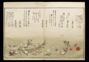Shiohi no tsuto (Gifts from the Ebb Tide), known as the Shell Book, 1789 by Kitagawa Utamaro