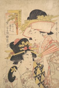 Teahouse Girl and Servant: Snow
