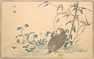 Zhu ji, 1789