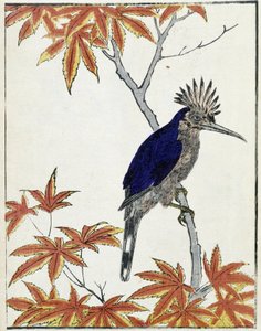 Bird on a Tree. Japanese Drawing by Kitao Kosuisai
