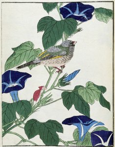 Bird on a tree. Japanese drawing by Kitao Kosuisai