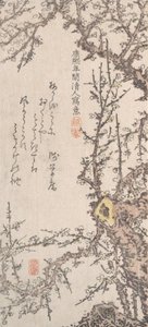 Plum Tree in Blossom by Kitao Shigemasa