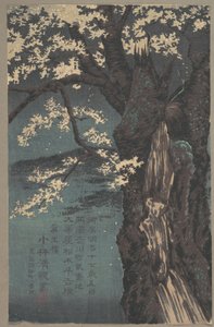 Cherry Tree by Kobayashi Kiyochika