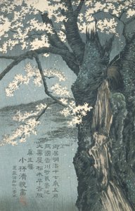 Warrior Taira no Tadanori about to Sleep under a Cherry Tree by Kobayashi Kiyochika