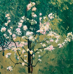 Blooming Tree in the Garden