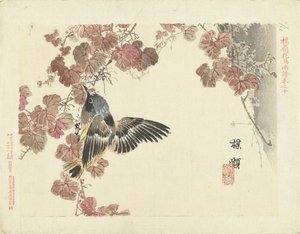Bird and Red Vine