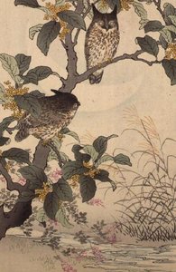 Two Owls in a Tree from Bunrei Kacho Gafu by Kono Bairei, pub. 1885 by Kono Bairei