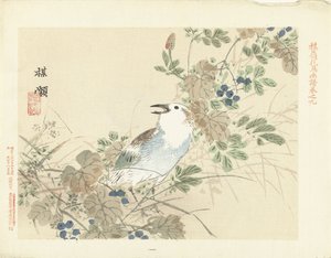 Songbird Among Autumn Grasses
