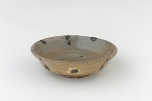 Dish