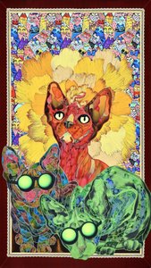 Colorful Sphynx Cats by Kostyantin Malginov
