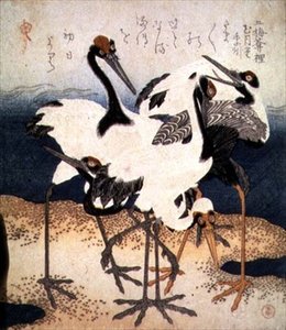 Five Cranes with White Feathers in Various Poses on a Spit of Sand, from Three Petals series, c.1816 by Kubo Shumman