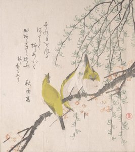 Japanese White-eyes with Plum Tree and Willow