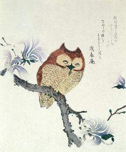 Owl on a Magnolia Branch by Kubo Shunman