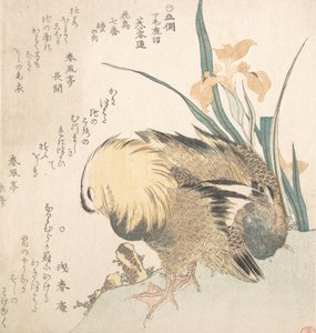 Pair of Mandarin Ducks and Iris Flowers by Kubo Shunman