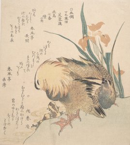 Pair of Mandarin Ducks and Iris Flowers by Kubo Shunman
